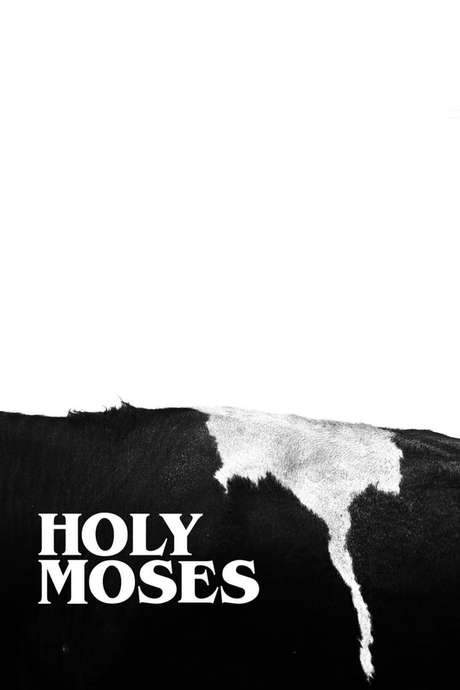 Holy Moses (2018) movie poster
