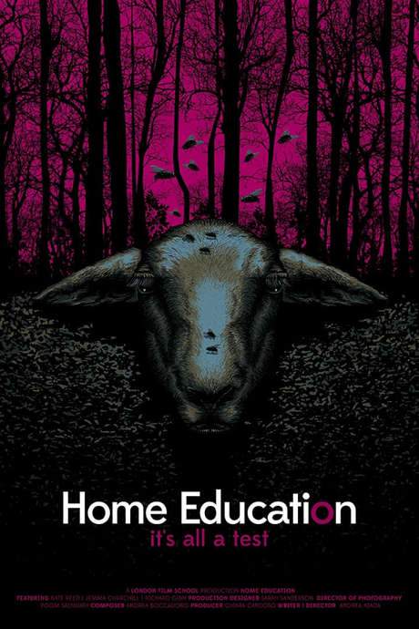 Home Education (2016) movie poster
