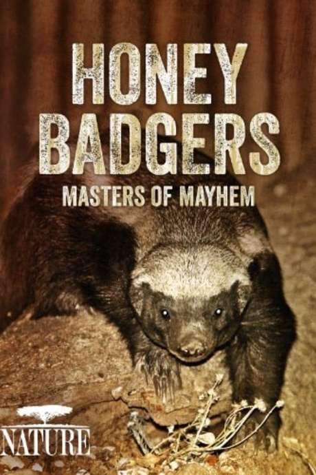 Honey Badgers: Masters of Mayhem (2014) movie poster