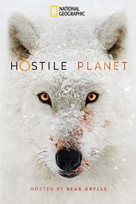 Hostile Planet (2019) movie poster