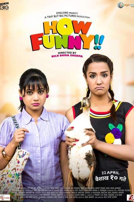How Funny (2016) movie poster