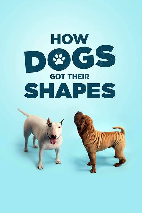 How Dogs Got Their Shapes (2016) movie poster