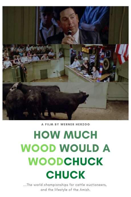 How Much Wood Would a Woodchuck Chuck (1976) movie poster