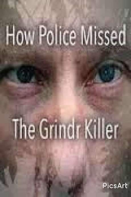 How Police Missed the Grindr Killer (2017) movie poster