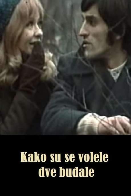 How the Two Fools Loved Each Other (1972) movie poster