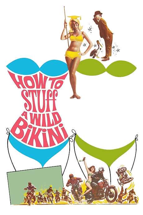 How to Stuff a Wild Bikini (1965) movie poster