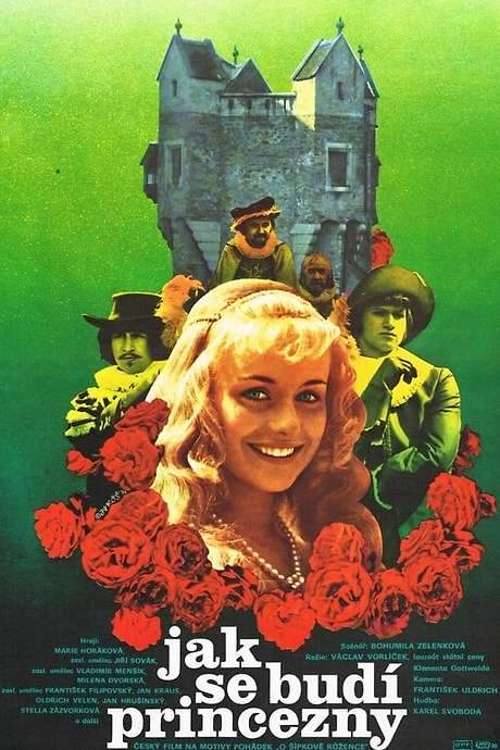 How to Wake a Princess (1978) movie poster