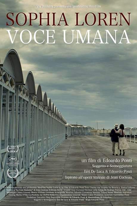 Human Voice (2014) movie poster