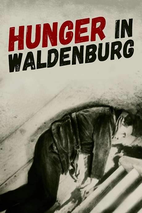 Hunger in Waldenburg (1929) movie poster