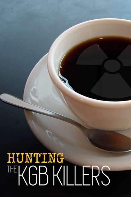 Hunting the KGB Killers (2017) movie poster