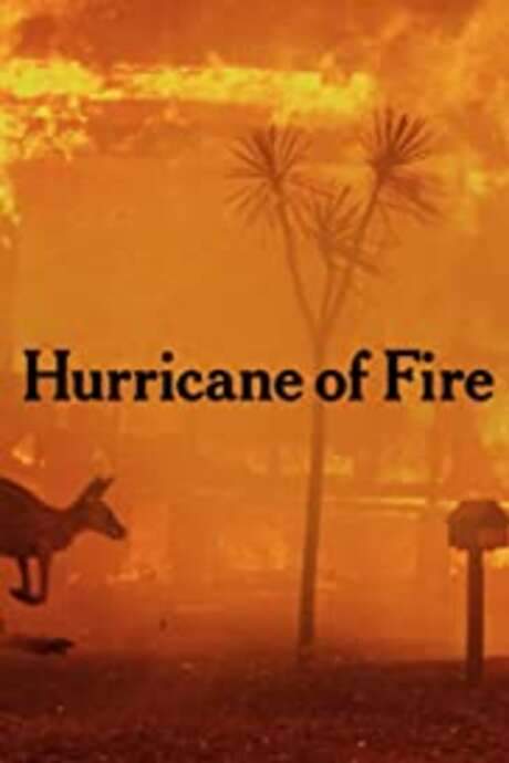 Hurricane of Fire (2020) movie poster