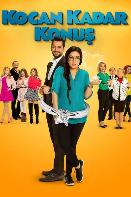 Husband Factor (2015) movie poster
