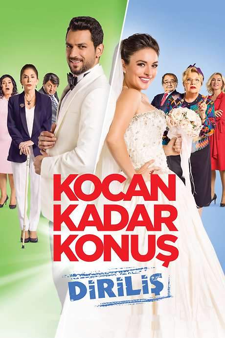 Husband Factor: Resurrection (2016) movie poster