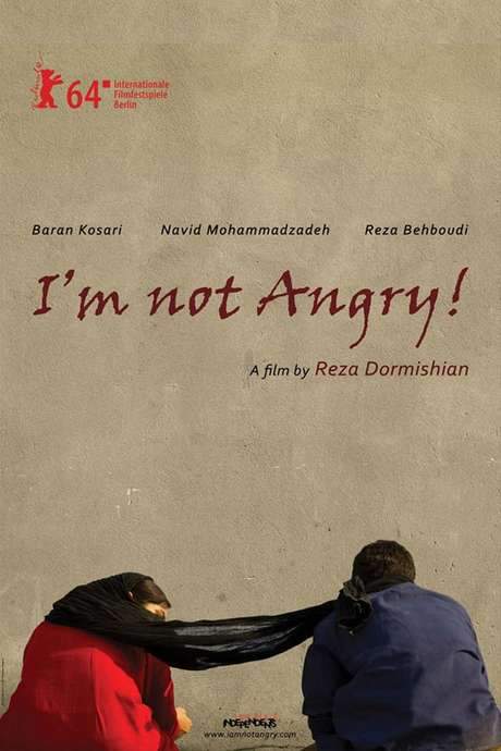 I’m Not Angry! (2014) movie poster