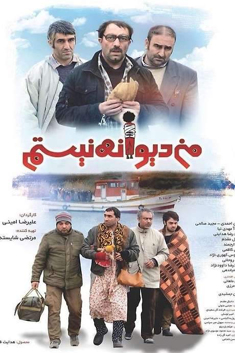 I’m not Crazy (2016) movie poster
