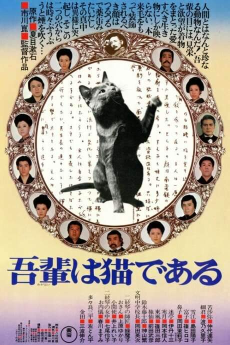 I Am a Cat (1975) movie poster