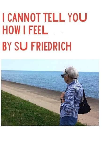 I Cannot Tell You How I Feel (2016) movie poster