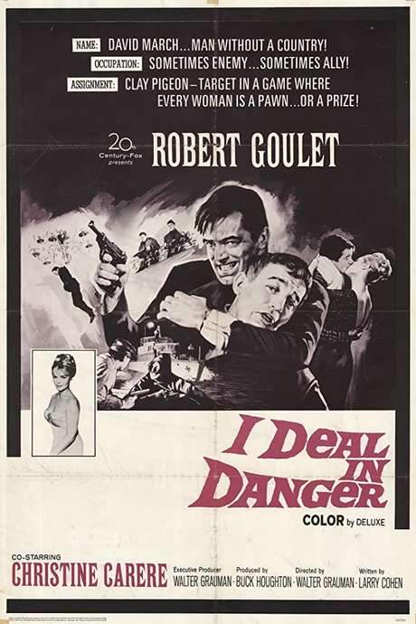 I Deal In Danger (1966) movie poster