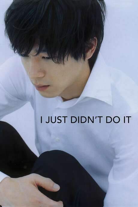 I Just Didn’t Do It (2007) movie poster