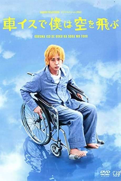 I Will Fly to the Sky on a Wheelchair (2012) movie poster