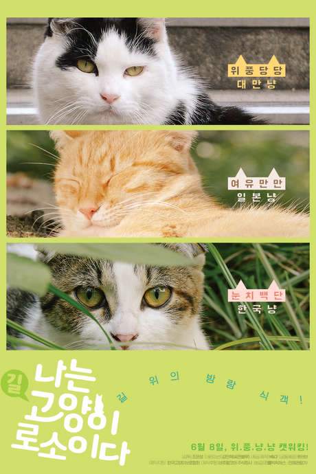 I am a Cat (2017) movie poster