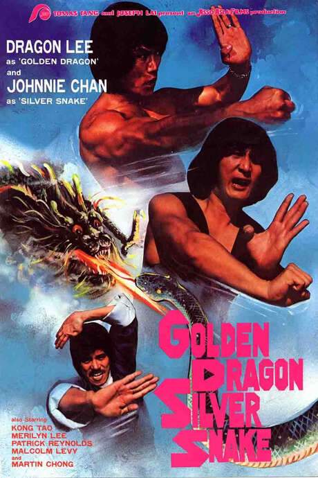Idling Fist (1979) movie poster