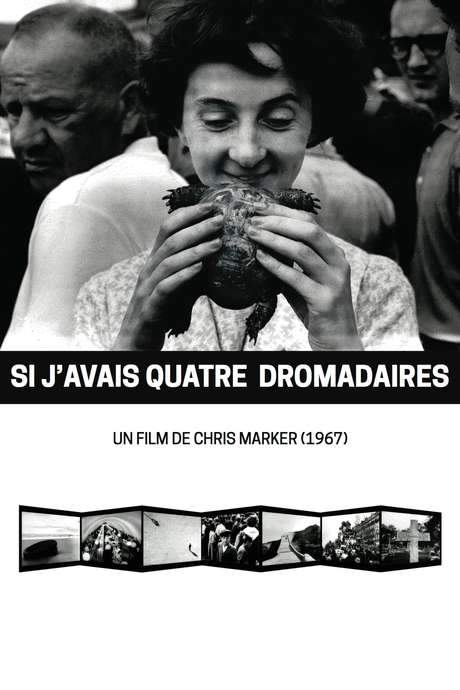 If I Had Four Dromedaries (1966) movie poster