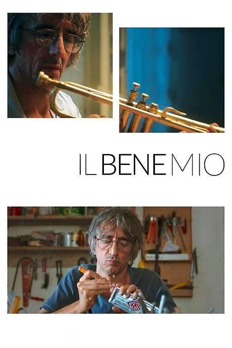 Il bene mio (2018) movie poster
