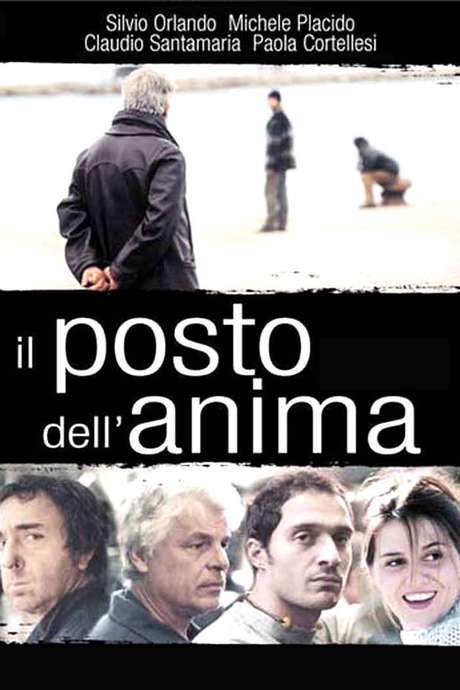 Il posto dell’anima (2003) movie poster