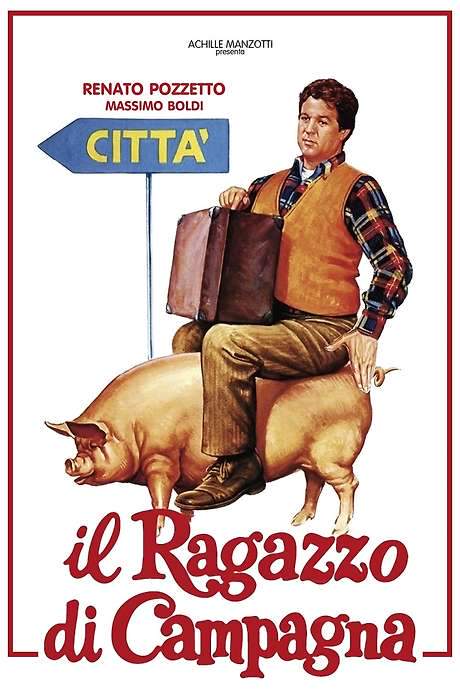 Il ragazzo di campagna (1984) movie poster