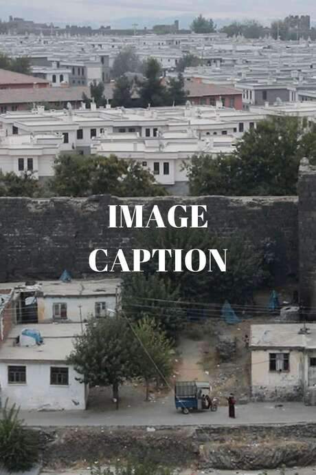 Image Caption (2021) movie poster