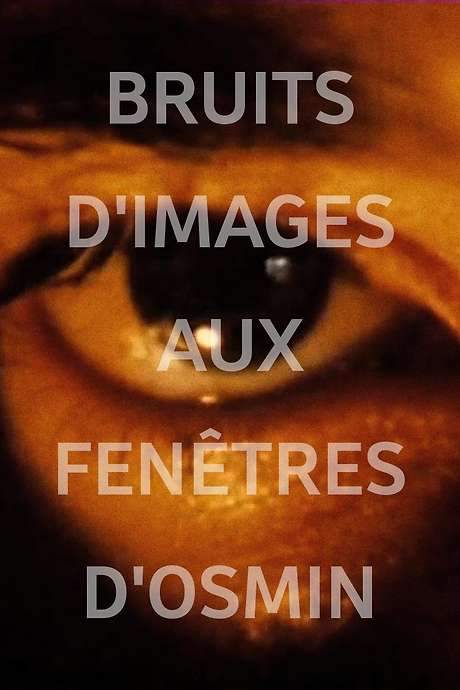 Image Noise (Osmin’s Windows) (1984) movie poster