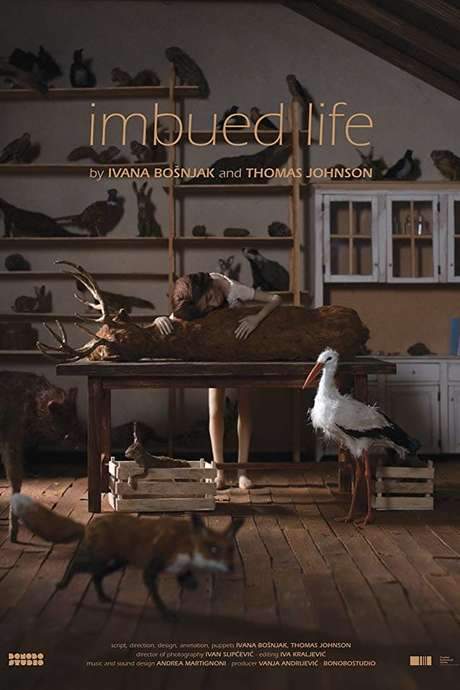 Imbued Life (2019) movie poster