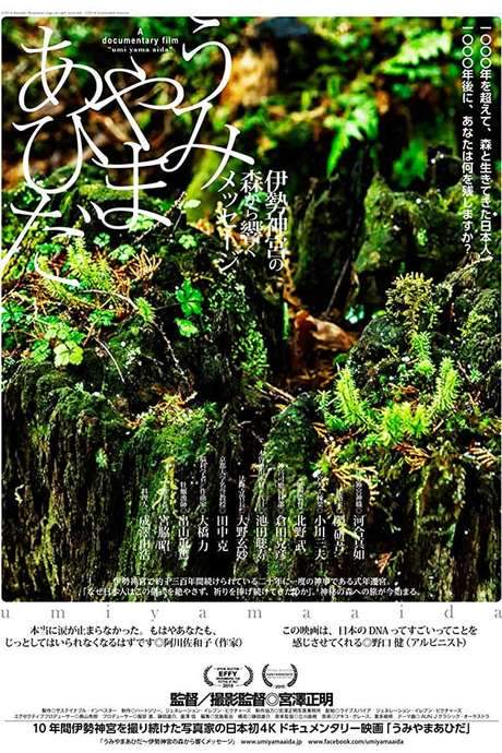 In Between Mountains and Oceans (2014) movie poster
