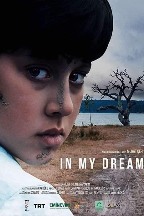 In My Dream (2020) movie poster