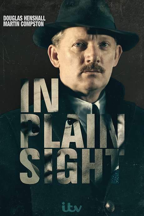 In Plain Sight (2016) movie poster