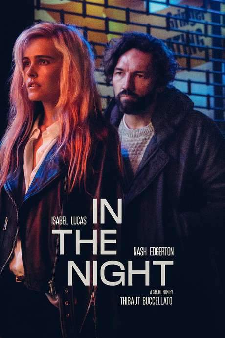 In The Night (2019) movie poster