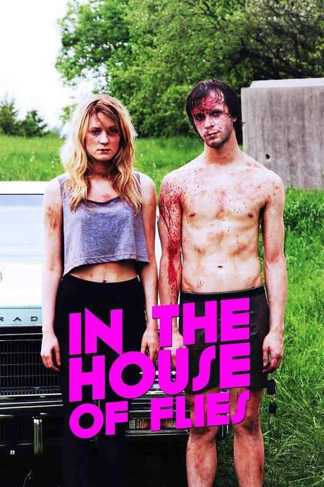 In The House of Flies (2014) movie poster