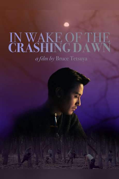 In Wake of the Crashing Dawn (2020) movie poster