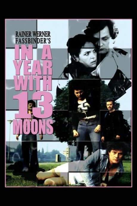 In a Year with 13 Moons (1978) movie poster