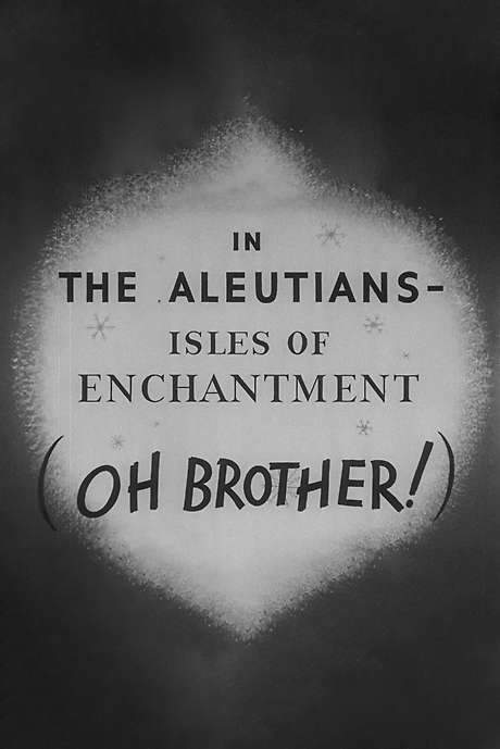 In the Aleutians (1945) movie poster