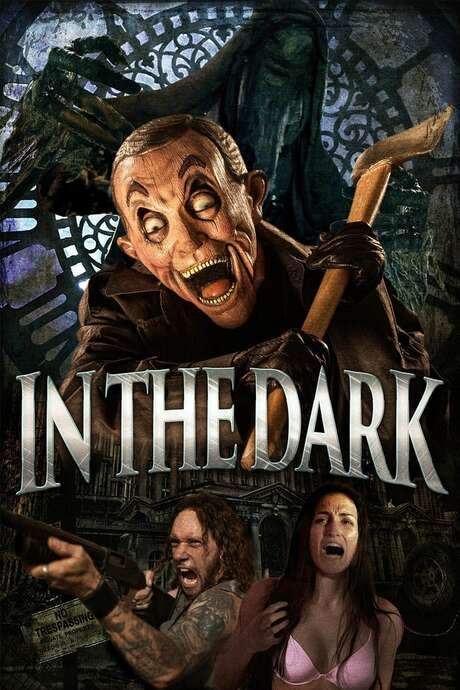 In the Dark (2015) movie poster