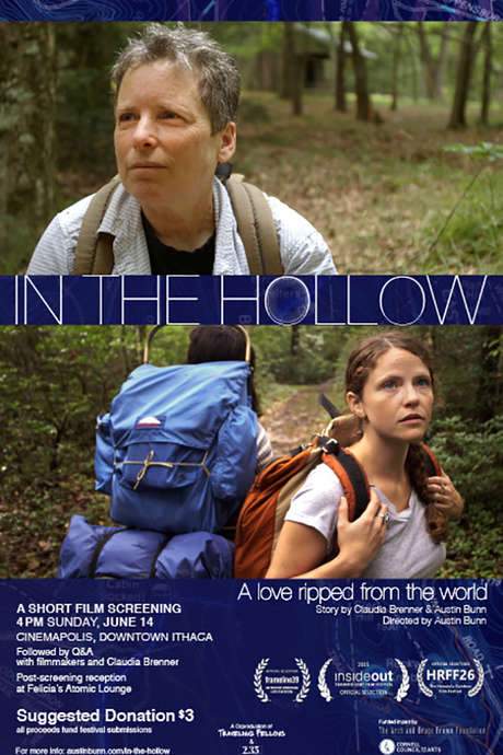 In the Hollow (2016) movie poster