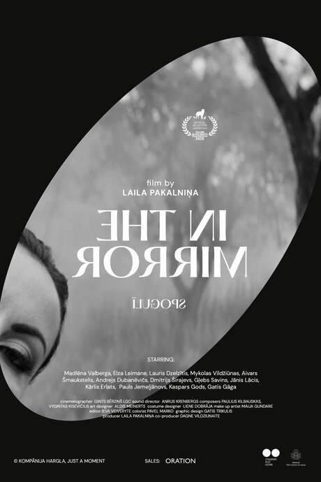 In the Mirror (2020) movie poster