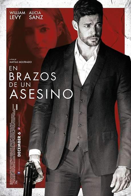 In the Arms of an Assassin (2019) movie poster