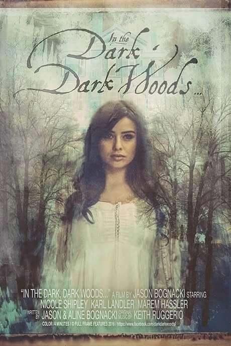 In the Dark, Dark Woods… (2017) movie poster