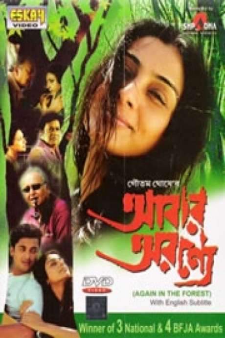 In the Forest… Again (2003) movie poster
