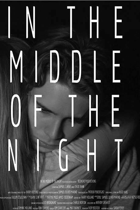 In the Middle of the Night (2016) movie poster