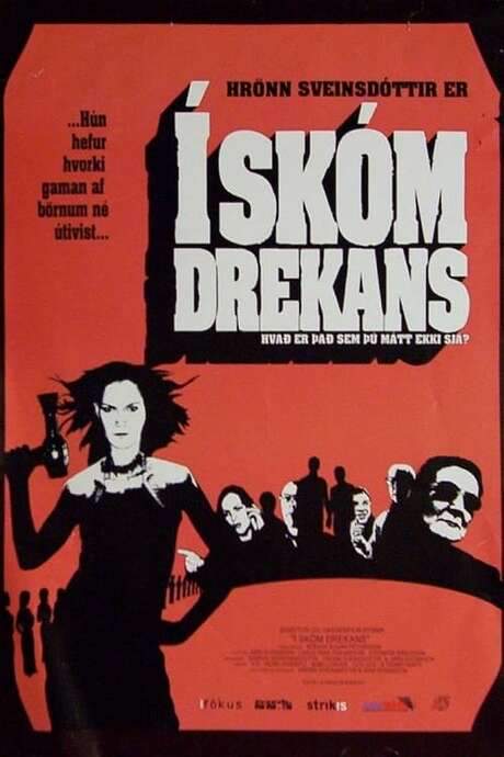 In the Shoes of the Dragon (2002) movie poster