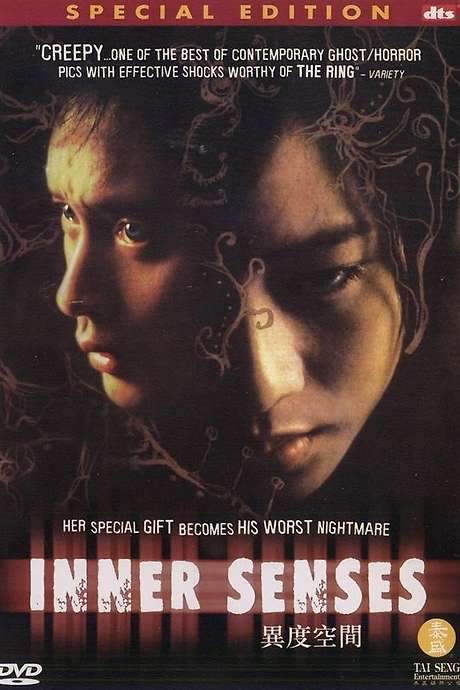 Inner Senses (2002) movie poster